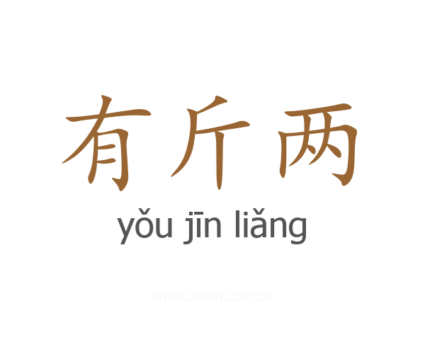 有斤两