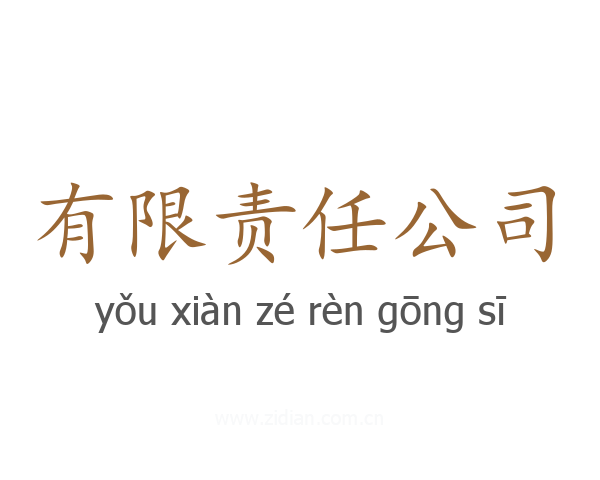有限责任公司