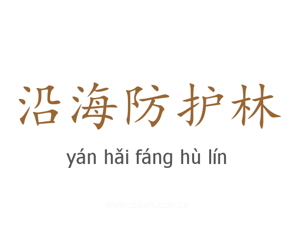 沿海防护林