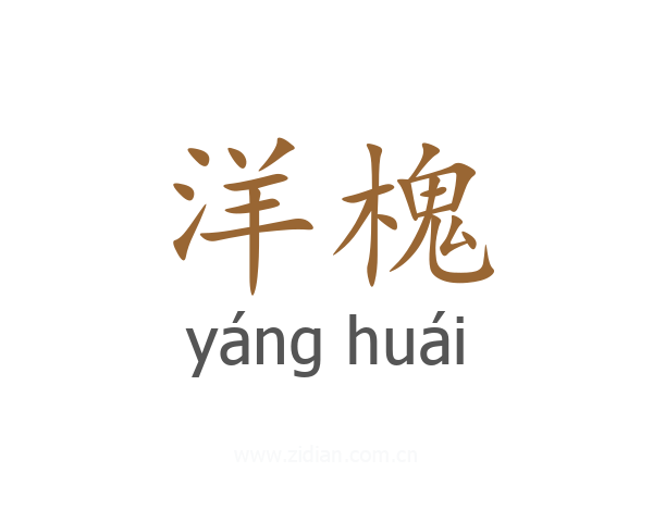 洋槐