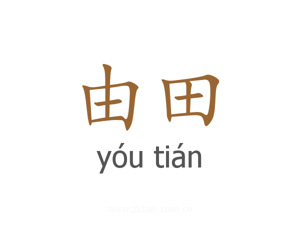 由田