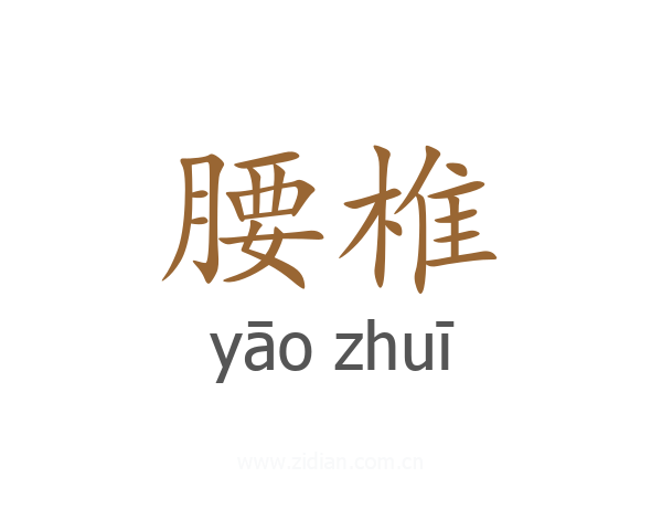 腰椎