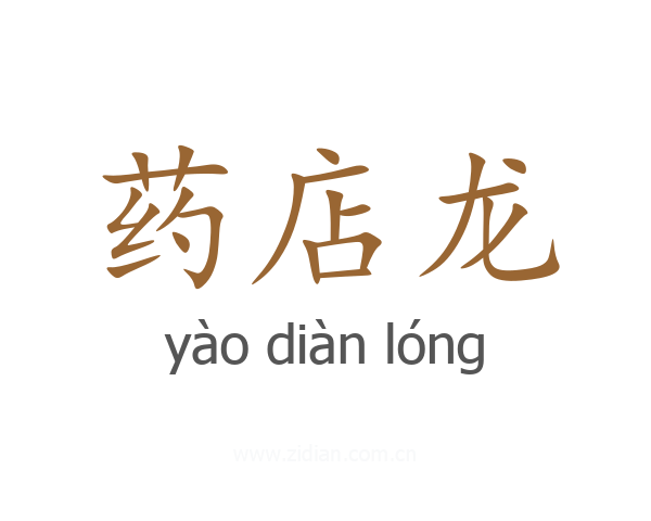 药店龙