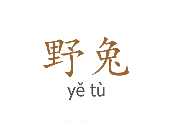 野兔