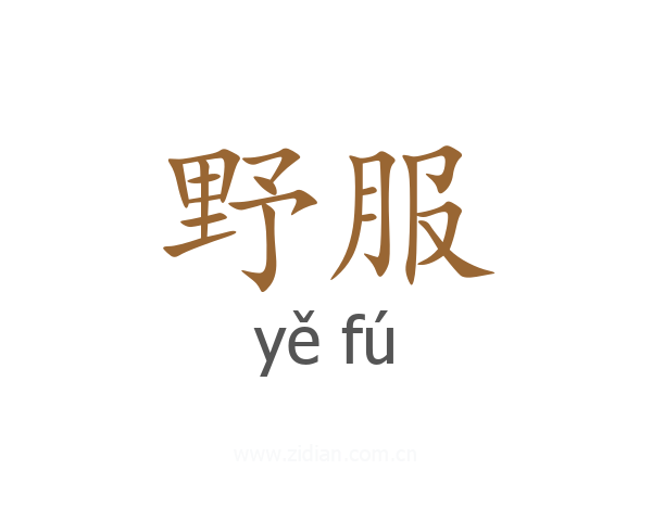 野服