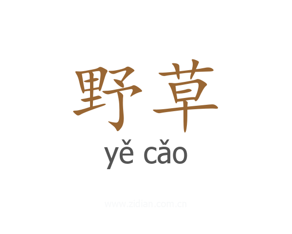 野草