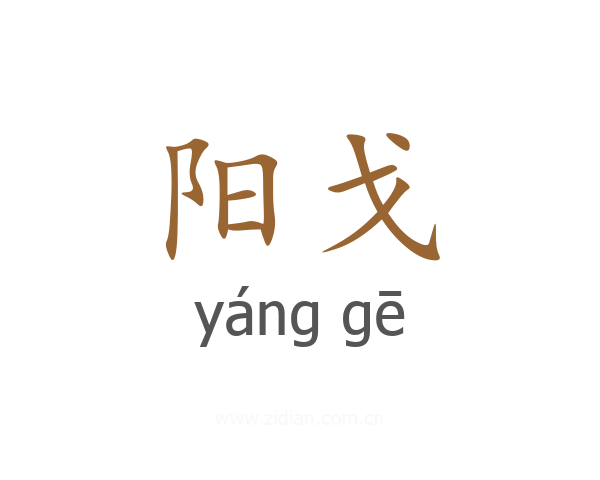 阳戈