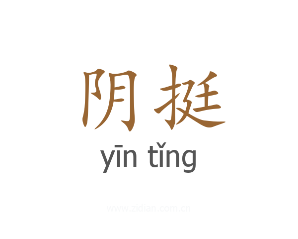 阴挺