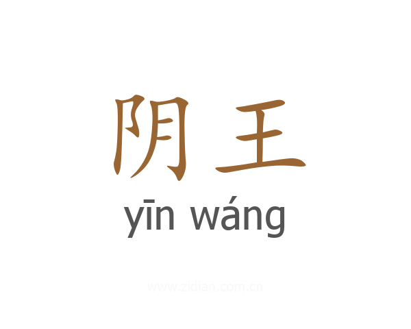 阴王