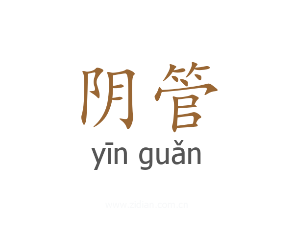 阴管