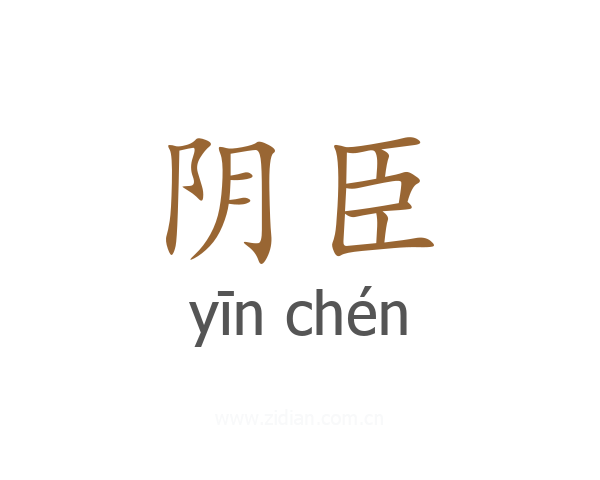 阴臣