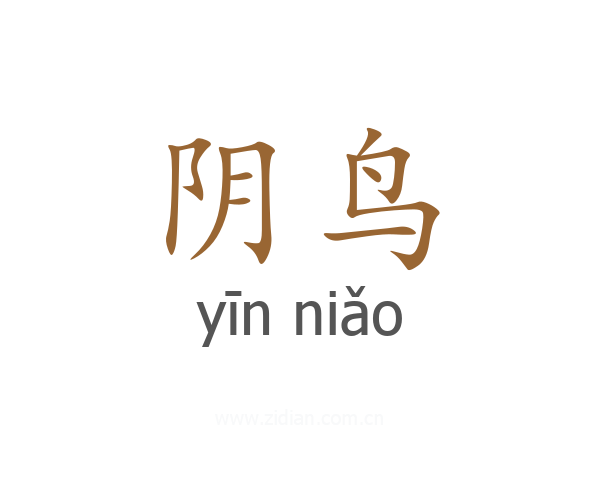 阴鸟