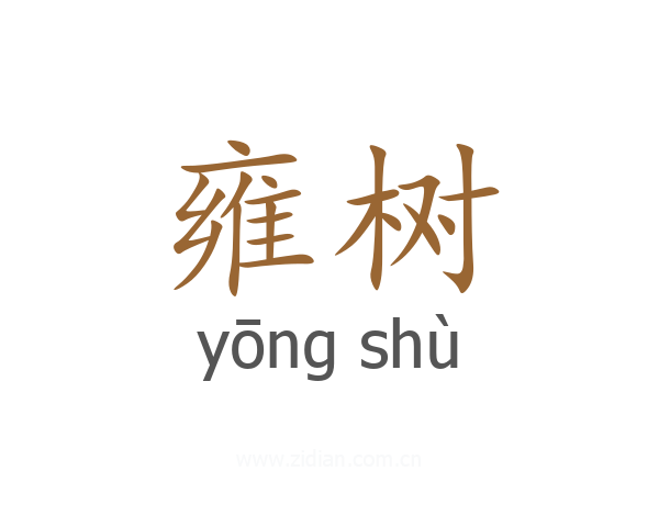 雍树