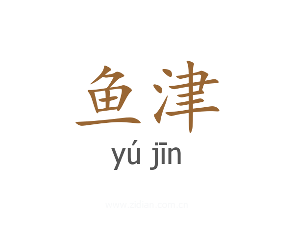 鱼津