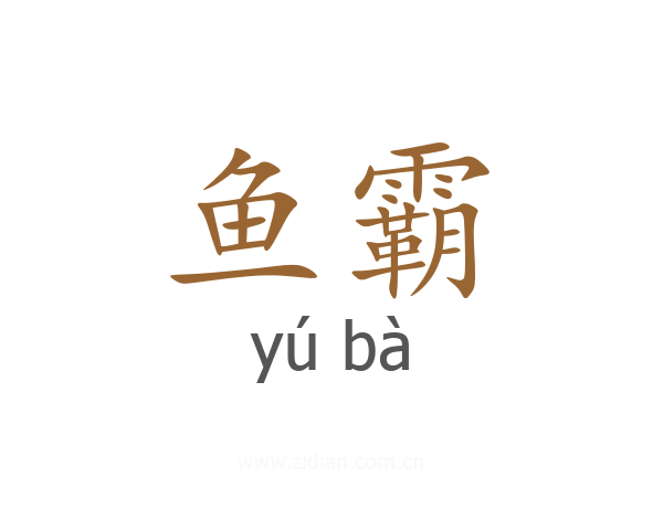 鱼霸