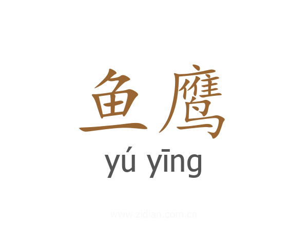 鱼鹰