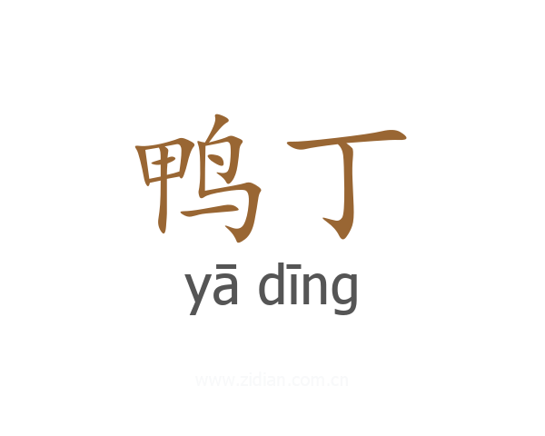 鸭丁