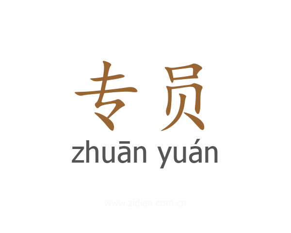 专员