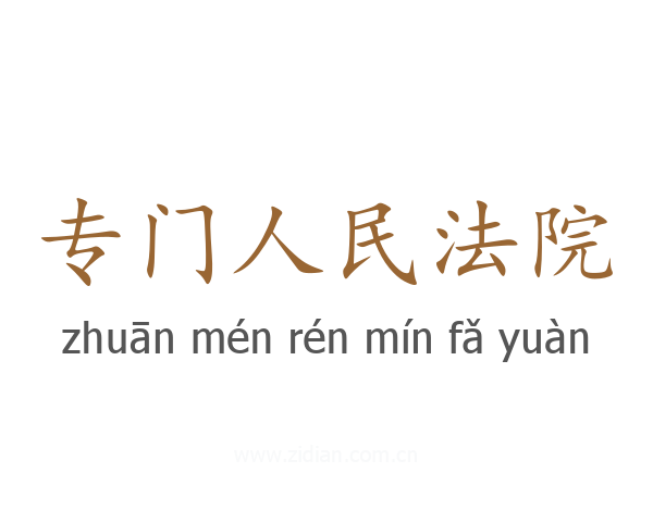 专门人民法院