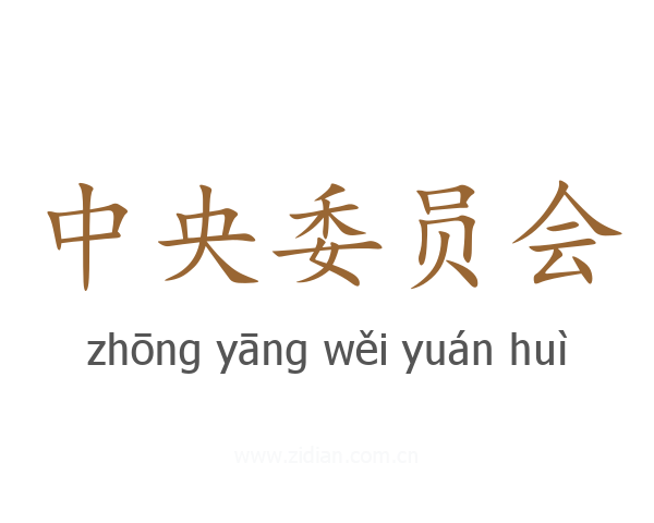 中央委员会