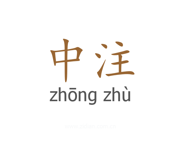 中注