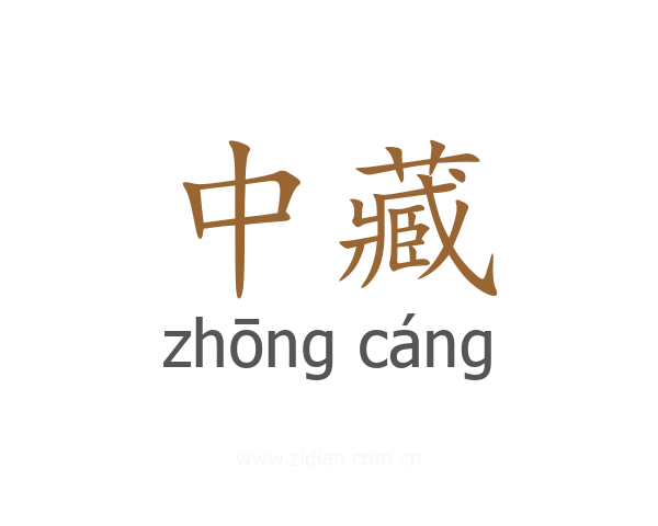 中藏