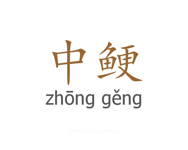 中鲠