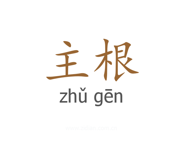主根