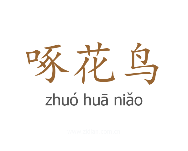 啄花鸟