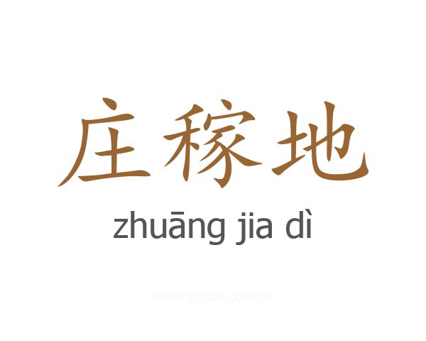 庄稼地