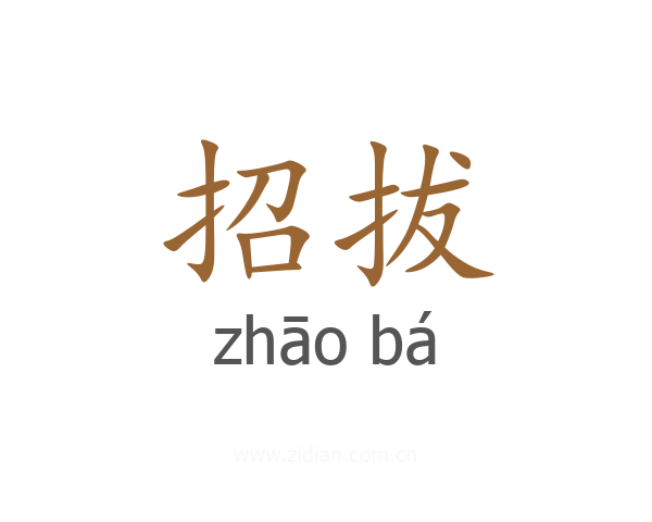 招拔