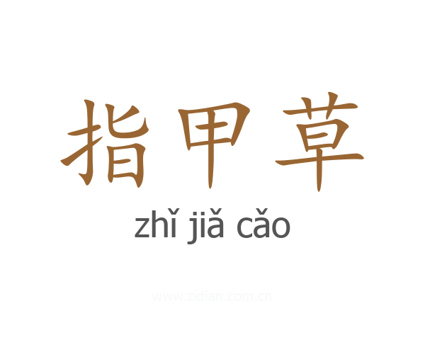 指甲草