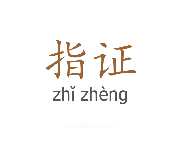 指证