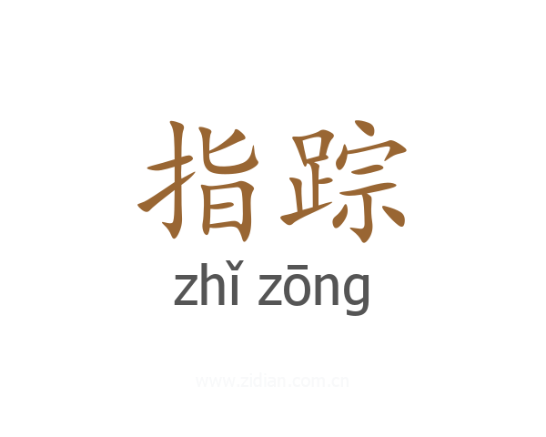 指踪