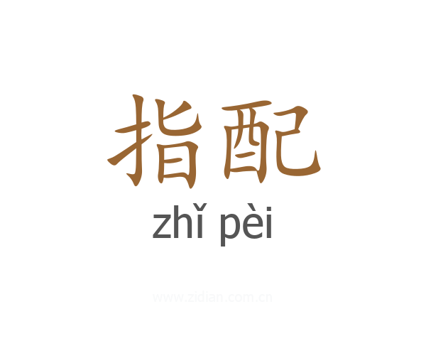 指配