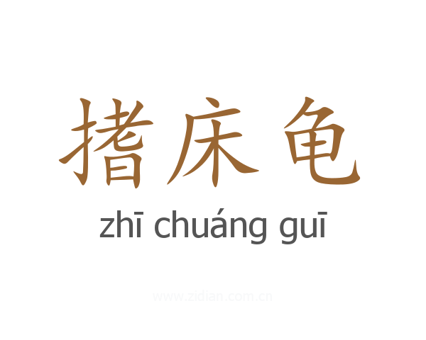 搘床龟