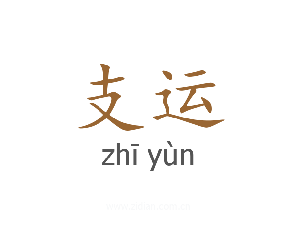 支运