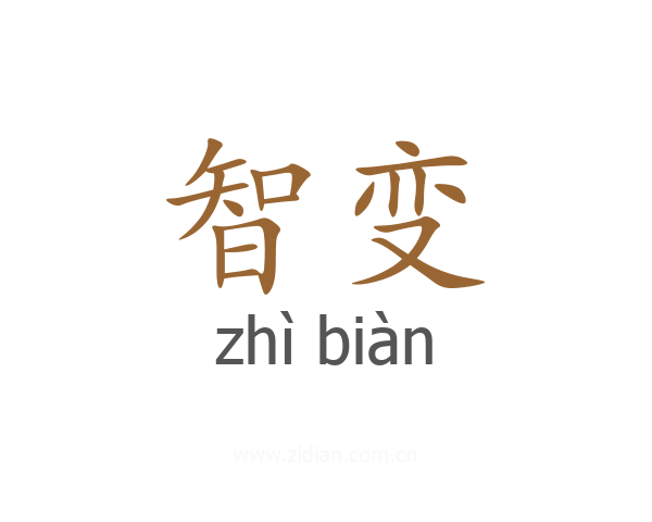 智变