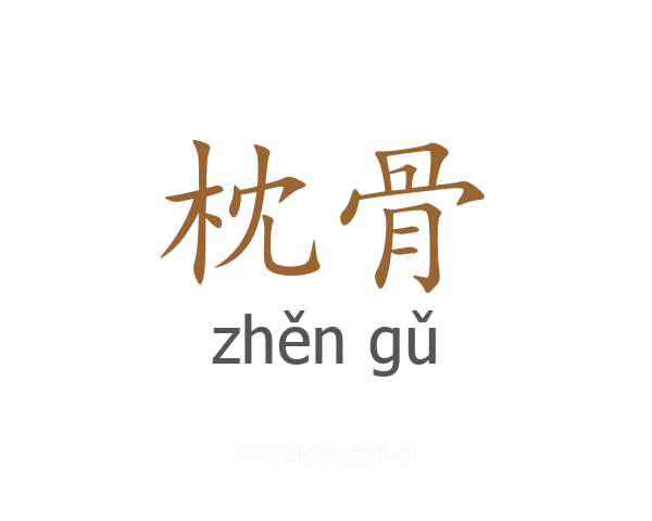 枕骨