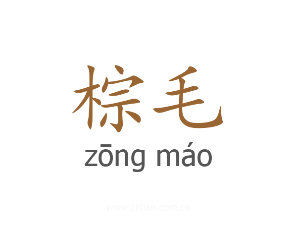 棕毛