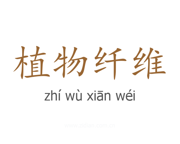 植物纤维