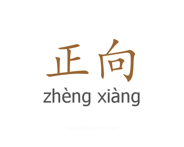 正向