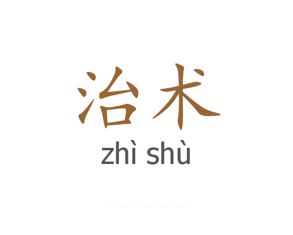 治术