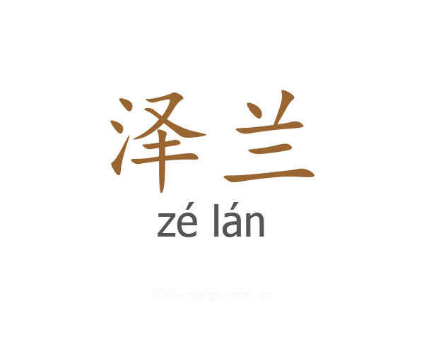泽兰