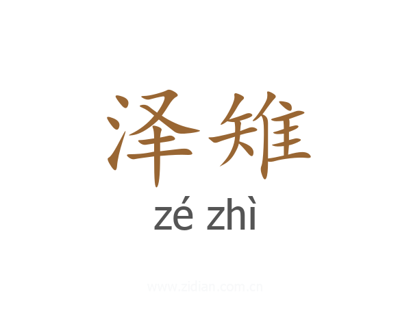 泽雉