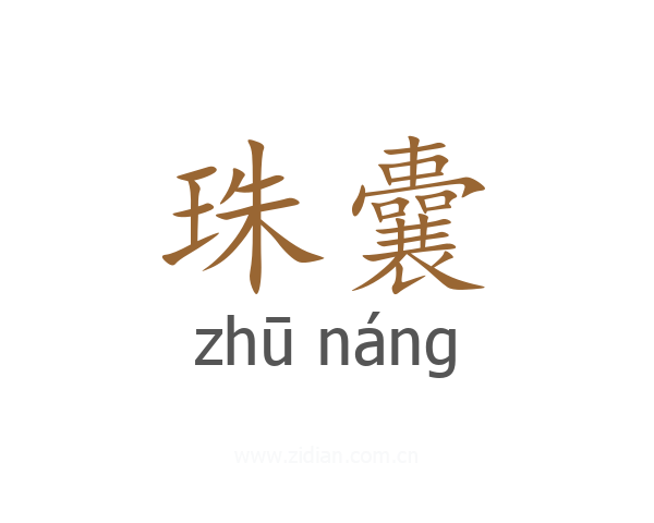珠囊