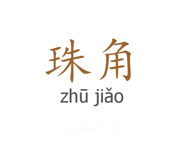 珠角