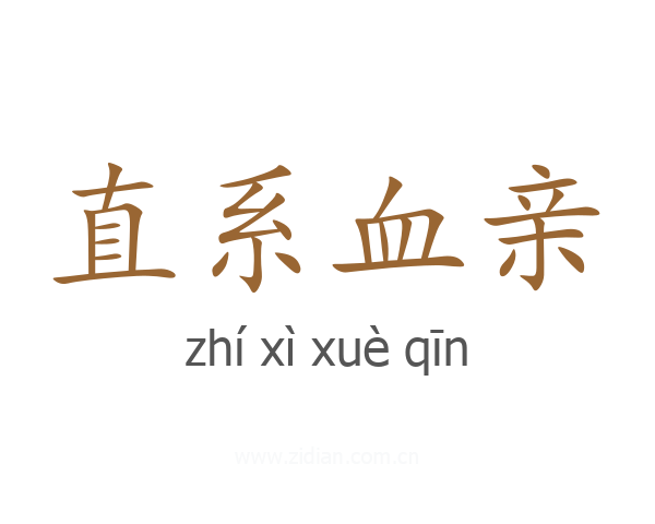 直系血亲