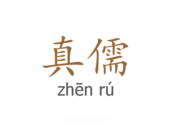 真儒