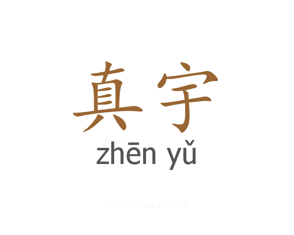 真宇